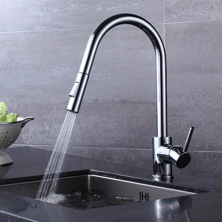 Chrome Matte Black Kitchen Faucet with Pull-Out Spout, 2-Mode Spray Ideal for Kitchen, Laundry, or Bar Sinks