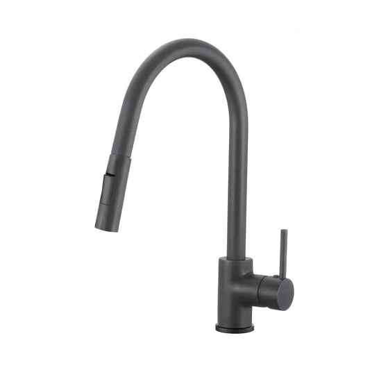 Chrome Matte Black Kitchen Faucet with Pull-Out Spout, 2-Mode Spray Ideal for Kitchen, Laundry, or Bar Sinks