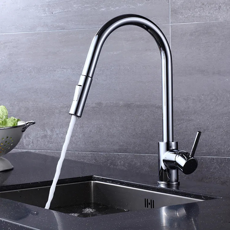 Chrome Matte Black Kitchen Faucet with Pull-Out Spout, 2-Mode Spray Ideal for Kitchen, Laundry, or Bar Sinks